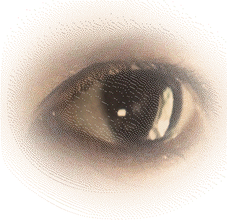 Floating Animation 2